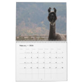 Calendrier American Llama Magazine 2023 (Feb 2026)