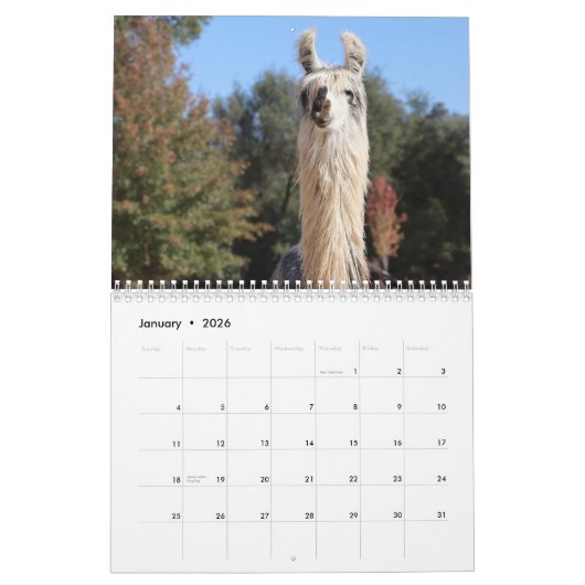 Calendrier American Llama Magazine 2023 (Jan 2026)
