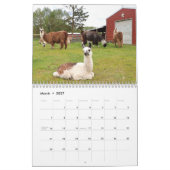 Calendrier American Llama Magazine 2023 (Mar 2027)