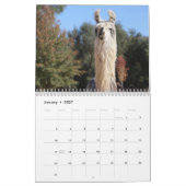 Calendrier American Llama Magazine 2023 (Jan 2027)