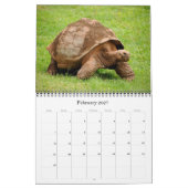 Calendrier Amérique - Equateur - Galapagos - (Feb 2027)