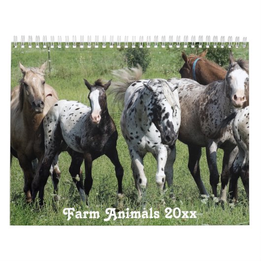 Calendrier Amérique rurale Animaux de ferme (Protection)