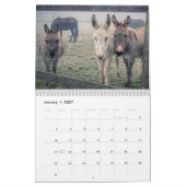 Calendrier Amérique rurale Animaux de ferme (Jan 2027)