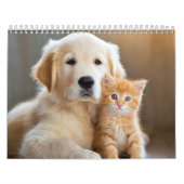 Calendrier Amis à poils (Protection)