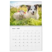 Calendrier Amis de la ferme – Les animaux vivant ensemble (Mar 2027)