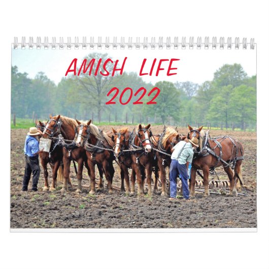 CALENDRIER AMISH LIFE 2022      (Protection)