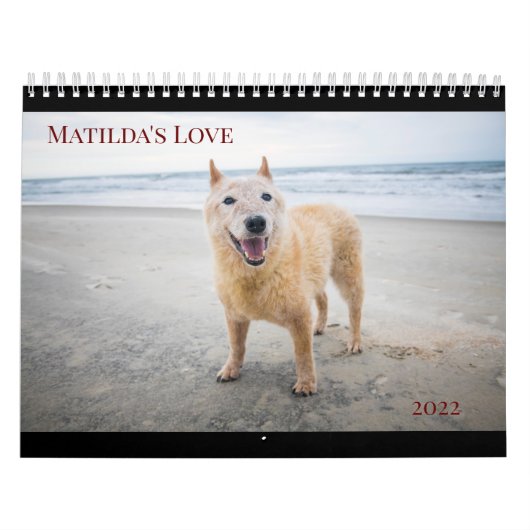 Calendrier Amour 2022 de Matilda (Protection)