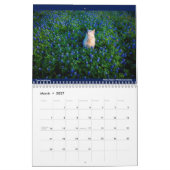 Calendrier Amour 2022 de Matilda (Mar 2027)
