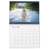 Calendrier Amour 2022 de Matilda (Jan 2027)