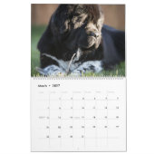 Calendrier Amour du propriétaire (Mar 2027)