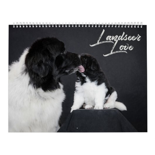 Calendrier Amour Landseer (Protection)