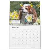 Calendrier Amour, Rire & Relax Cavalier King Charles Spaniels (Mar 2027)