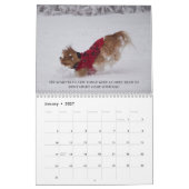 Calendrier Amour, Rire & Relax Cavalier King Charles Spaniels (Jan 2027)