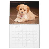 Calendrier Amoureux des chiens (Feb 2026)