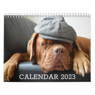 Calendrier Amoureux des chiens
