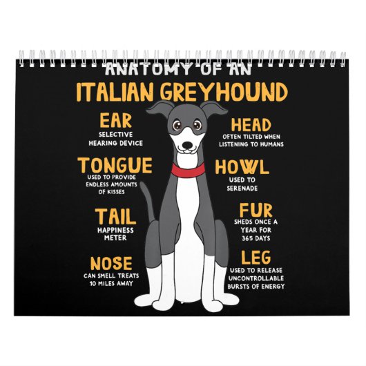 Calendrier Anatomie de l'italien Greyhound Funny Chien Maman  (Protection)