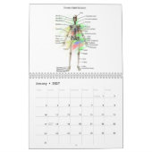 Calendrier Anatomie humaine (Jan 2027)