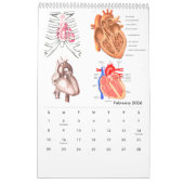Calendrier Anatomie humaine Diagramme Médicale Science de la  (Feb 2026)