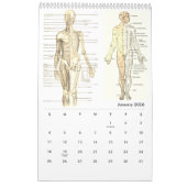 Calendrier Anatomie humaine Diagramme Médicale Science de la  (Jan 2026)