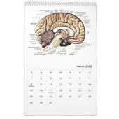 Calendrier Anatomie humaine Diagramme Médicale Science de la  (Mar 2026)