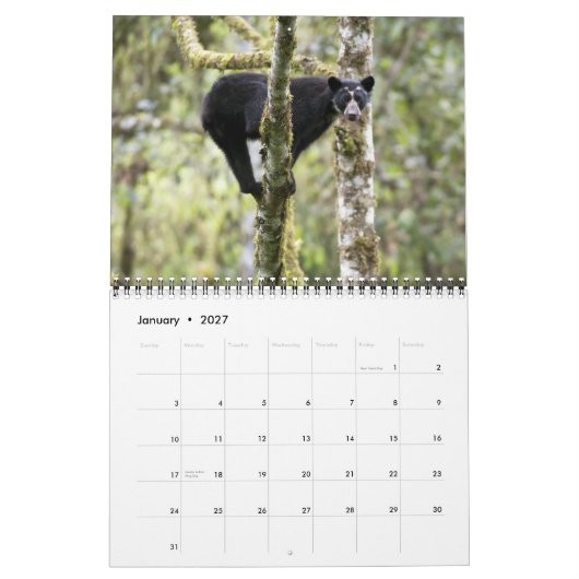Calendrier Andean Bears II -calendrier 15 mois 1/2012 - 3/201 (Jan 2027)