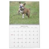 Calendrier anglais 2011 de bouledogue (Mar 2026)