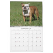 Calendrier anglais 2011 de bouledogue (Feb 2026)