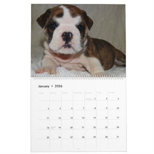 Calendrier anglais 2016 de bouledogue (Jan 2026)