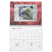 Calendrier anglais de bouledogue ! (Feb 2027)