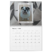 Calendrier anglais de bouledogue (Feb 2026)