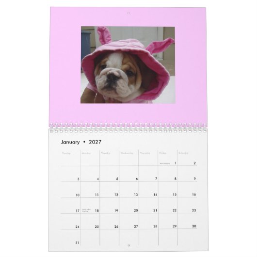 Calendrier anglais de bouledogues ! (Jan 2027)