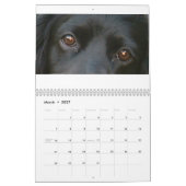 calendrier anglais de cocker (Mar 2027)