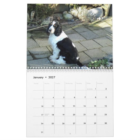 calendrier anglais de cocker (Jan 2027)