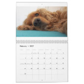 calendrier anglais de cocker (Feb 2027)