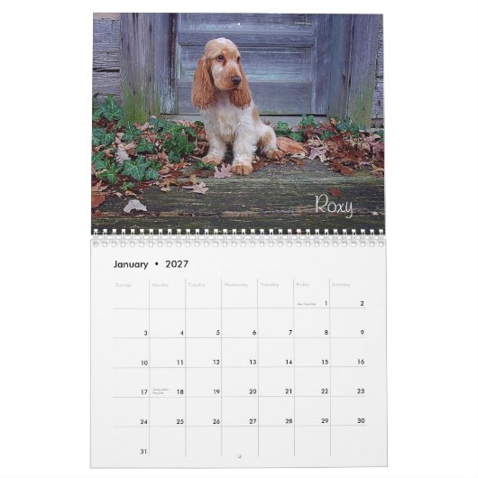 Calendrier anglais de cocker de Y-Noeud (Jan 2027)