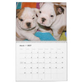 Calendrier anglais des chiots 2013 de bouledogue (Mar 2027)