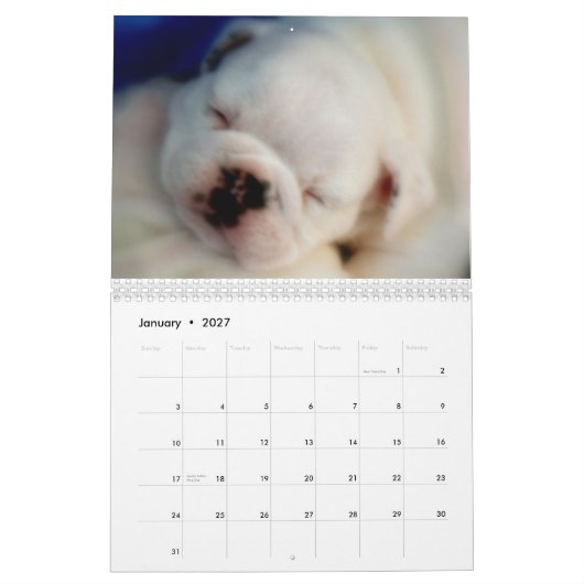 Calendrier anglais des chiots 2013 de bouledogue (Jan 2027)