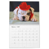 Calendrier anglais des chiots 2013 de bouledogue (Feb 2027)