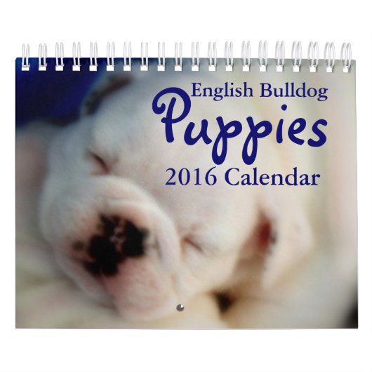 Calendrier anglais des chiots 2016 de bouledogue (Protection)