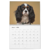 CALENDRIER ANIMAL (Mar 2026)