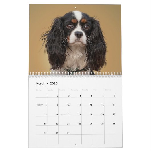 CALENDRIER ANIMAL (Mar 2026)