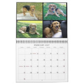 Calendrier animal (Feb 2027)