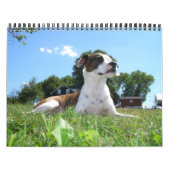Calendrier animal (Protection)