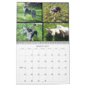 Calendrier animal (Mar 2027)