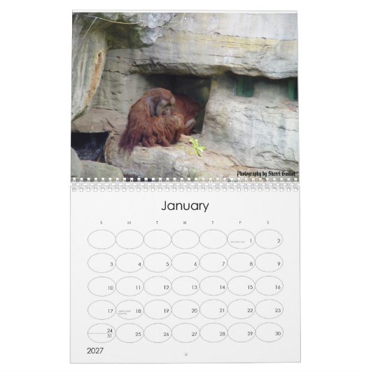 Calendrier animal 2008 (Jan 2027)