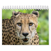 Calendrier animal 2026 (Protection)