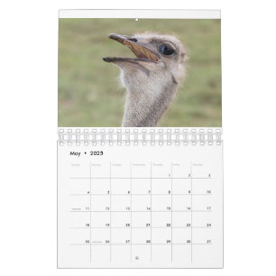 Calendrier animal 2026