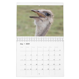 Calendrier animal 2026