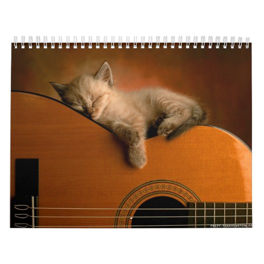 Calendrier animal 7 (Protection)