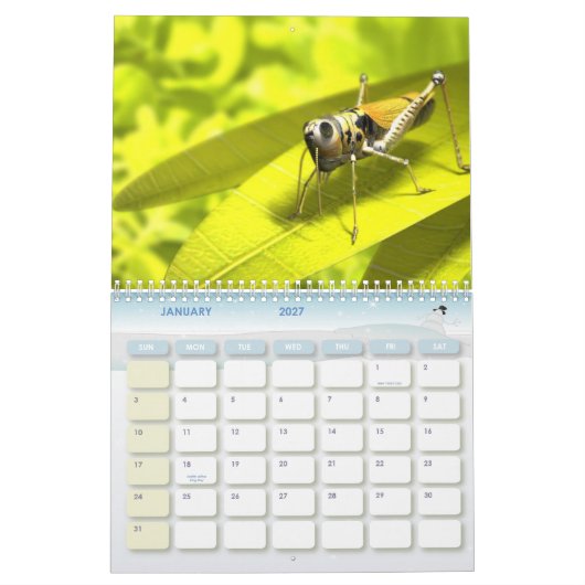 Calendrier animal 8 (Jan 2027)